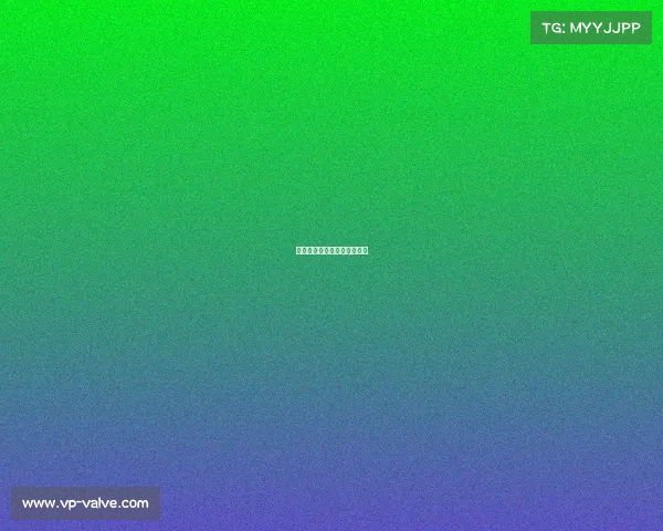 中国的赛车比赛要在哪里看呢