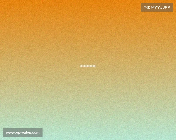 中超赛事中中超比赛锦集